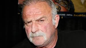 WWE Hall Of Famer Jake Roberts Would've Liked To Wrestle In This Hardcore  Match