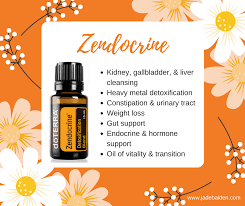 Zendocrine Google Search Detoxification Juniper Berry Essential Oil Endocrine Hormones