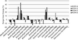 Image result for Brachystegia spiciformis × microphylla