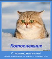 Поздравления с днём кошек в украине и россии рассылают 1 марта. 1 Marta Pethouse Set Zoomagazinov V G Kishinev Facebook