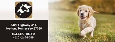 Aquatic pet world & vets clinic. New Hope Veterinary Clinic Home Facebook