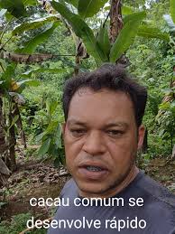 Plantando uma Muda de Banana da Terra na Roça