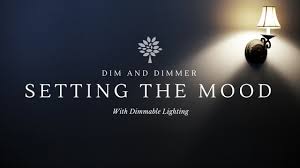 The Basics Of Dim Light Bulbs And Dimmable Lighting