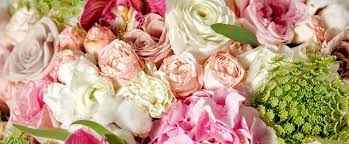 23 Best Comprehensive Guide to Starting Your Own Floral Business: The Roger Florist Way