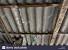 Asbestos Flat Roof