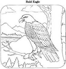 Printable Coloring Book Bald Eagle Coloring Page Animals Town Animals Bird Coloring Pages Animal Coloring Books Coloring Books