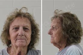 Essie Wilson — Houston County Jail Bookings