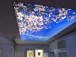 Duvar kaplamaları boya & yüzey kaplama yapı malzemeleri uygun. 3d Duvar Ve Tavan Kaplama Ankara Duvar Kagidi Ustasi 0 542 651 80 14