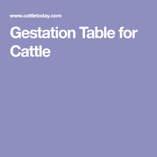 Gestation Table For Cattle Cattle Beef Cattle Cattle Ranching
