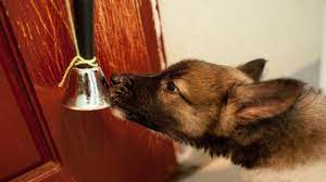 Dog Bell Training How To Train Your Dog To Use A Potty Bell