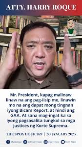 Mr. President, kapag malinaw linaw na ang pag-iisip mo, linawin mo na ang  dapat mong tingnan iyong Bicam Report, at hindi ang GAA. At sana mag-ingat  ka sa iyong pagsasalita tungkol sa