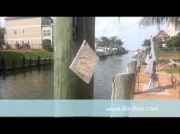 If your dock has been invaded by birds and the mess they bring, it's time for them to unfortunately, our feathered friends can be persistent and creative, often figuring out ways to overcome if you've tried other products to keep birds off your dock without much luck, it's time to try the please keep in mind that the whirlybird repeller works best as a preventative measure, so we. Keeping Birds Off Boat Docks With Birdnix Com Diamond Light Youtube