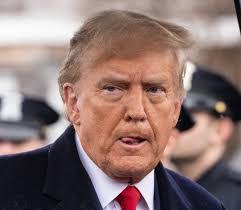 Zach Plotkin's Instagram, Twitter & Facebook