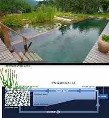 Economic Pools Natural Pool Natural Swimming Pools Ponds Backyard