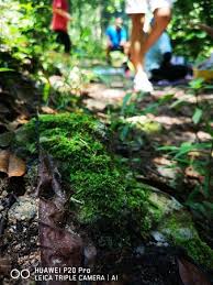 Sungai congkak tempat sis selalu pergi masa study dulu. Sungai Congkak Recreational Forest Photo De Sungai Congkak Recreational Forest Hulu Langat District Tripadvisor