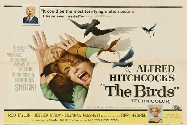 Why Alfred Hitchcock's “The Birds” is so Wild – Loco Mag
