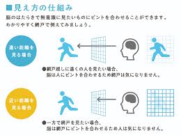遠近 両用 コンタクト 遠く が 見え ない