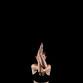 Bend and Bind Yoga Workshop event image