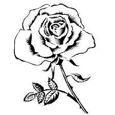 Voir plus d'idées sur le thème dessin a imprimer, dessin, coloriage. Stencil Coloriage Rose Dessin Gratuit Croquis De Rose