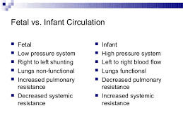 fresh fetal station chart cooltest info