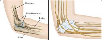 12 фраз в 2 тематиках. Elbow Olecranon Fracture Fractures Boston Medical Center