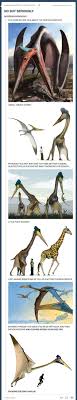 The Terror Of The Sky Animals Funny Pictures Tumblr Funny Hilarious