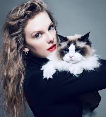 Luis Galvao (@LCSGalvao)