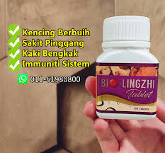 Saat ini, kamu bisa mengandalkan tablet terbaik 2021 alias keluaran terbaru maupun produk yang dirilis satu atau dua tahun lalu yang dianggap masih memiliki. Biolingzhi Tablet Ori Malaysia 2 0 Husna Home Facebook