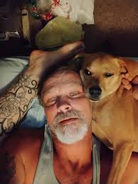 Missing bulldog in Keystone area