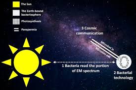 La météorite de murchison intéresse particulièrement les astrophysiciens, les cosmochimistes et les exobiologistes à la recherche des origines de la vie, son étude ayant fortement influencé la thèse sur l'origine extraterrestre de la vie sur terre. Voici Comment Les Microbes Pourraient Communiquer Avec Des Especes Extraterrestres