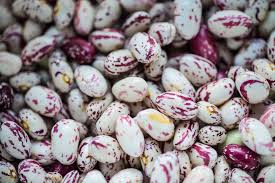 I like to use cranberry beans, but any other creamy bean will do. What Are Borlotti Beans And How Are They Used