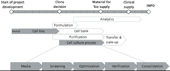 Platform Approach Speeds Process Development Bioprocess