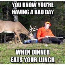 Funny Animal Picture Of A Deer Eating A Sleeping Hunter S Lunch Hunting Jokes Hunting Humor Funny Hunting Pics