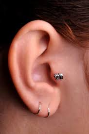 Elephant Tragus Cartilage Stud Ring By Bensjewelrycreations 11 95 Ear Jewelry Tragus Jewelry Tragus Piercings