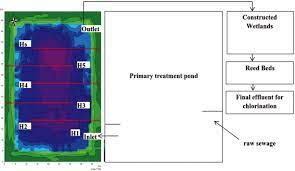 Je suppose que votre programme s'arrêtera là et. Acinetobacter Baumannii Detected On Modified Charcoal Cefoperazone Deoxycholate Agar In A Waste Stabilization Pond