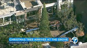 Christmas Tree Arrives At The Grove Shopping Center Abc7 Los Angeles Everyday shopping & dining musts…found. christmas tree arrives at the grove