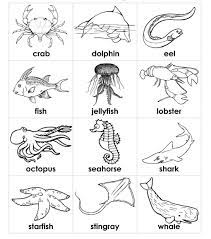 Under the sea coloring pages for adults coloringstar. Educational Coloring Pages Sea Animals Preschool Ocean Coloring Pages Ocean Animals