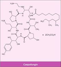 Image result for Caspofungin