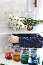 We love a good science experiment and this one did not disappoint. Color Changing Flower Science Experiment Spring Stem