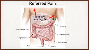 Muscles in your upper left back and shoulder that you could potentially strain include your rhomboid, trapezius, deltoid or infraspinatus. Abdominal Pain Causes And Anatomy Right Vs Left Male Vs Female Upper Stomach Quadrants Ezmed