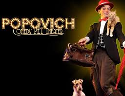 World champion juggler gregory popovich has rescued more than 30 pets from shelters and has transformed them into las vegas stars. Circus Star Performs In Mississauga Peel Region Review