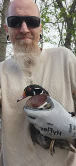 Hail Mary Duckies".... Union Mills Wetland American Black Duck strutting  his stuff..... "Way