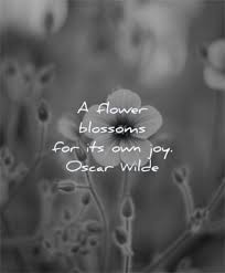 · not so long ago i . 115 Beautiful Quotes