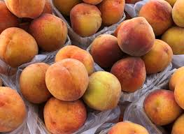 Susceptible to peach leaf curl, brown rot, oriental fruit moth and peach twig borer. Majestic Peach Tree Scott S Orchardscott S Orchard