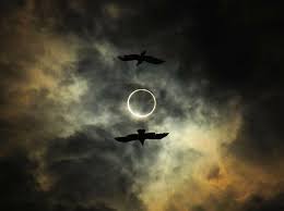 Pin By Ann Christin Eriksen On Cosmic Solar Eclipse Magical Art Eclipse
