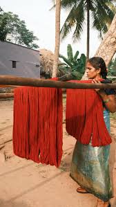 Image result for Indigofera quarrei