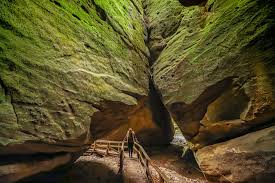 Dismals canyon will let kids experience how the canyon has looked for centuries, and it's waiting to be enjoyed! Dismals Canyon Alabama S Most Unexpected Natural Treasure