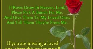 Maybe you would like to learn more about one of these? Daveswordsofwisdom Com If Roses Grow In Heaven