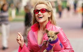 The hotel heiress's canine friend died at the ripe doggie age of 14, hilton announced in facebook. Rip Tinkerbell And Paris Hilton S Brand Of Handbag Dog Celebrity