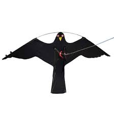 Toys Games Single Line Kites Hawk Kite Realistic Flying Bird Decoy Pest Control Scarer Protect Farmer Crop Bortexgroup Com